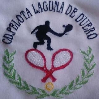 Escudo LAGUNA B